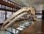 NATURAL_HISTORY_MUSEUM