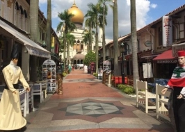 Charm Of Singapore 3 Nights