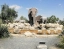 DUBAI_SAFARI_PARK