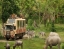 DUBAI_SAFARI_PARK