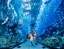 DUBAI_MALL_AQUARIUM_AND_UNDERWATER_ZOO