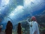 DUBAI_MALL_AQUARIUM_AND_UNDERWATER_ZOO