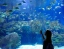 PLANET_OCEAN_WORLD