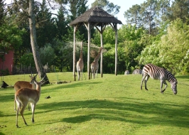ZOO ARCACHON BASIN