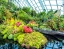 Gardens_by_the_Bay