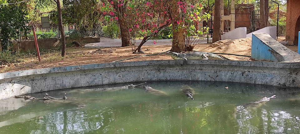 JAIPUR_ZOO