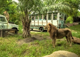 BALI AND NUSA PENIDA 5 NIGHTS
