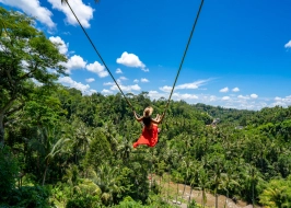 BALI VIBES 5 NIGHTS