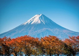 Japan 5 Nights Of Serenity And Splendor