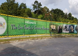 LIVE TURTLE MUSEUM SINGAPORE