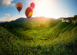 Malaysian Melange 3 Nights