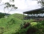 CAMERON_HIGHLANDS_TOUR