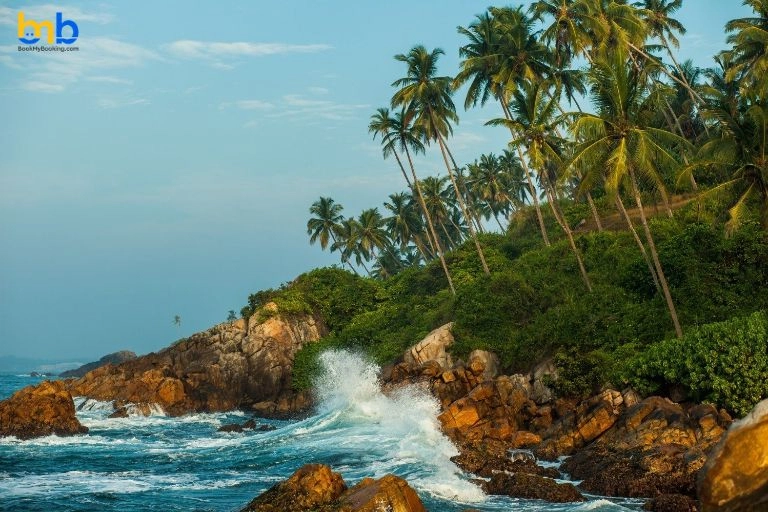 Goa Tourism Minister: To Improve Tourism Experience With Technology 