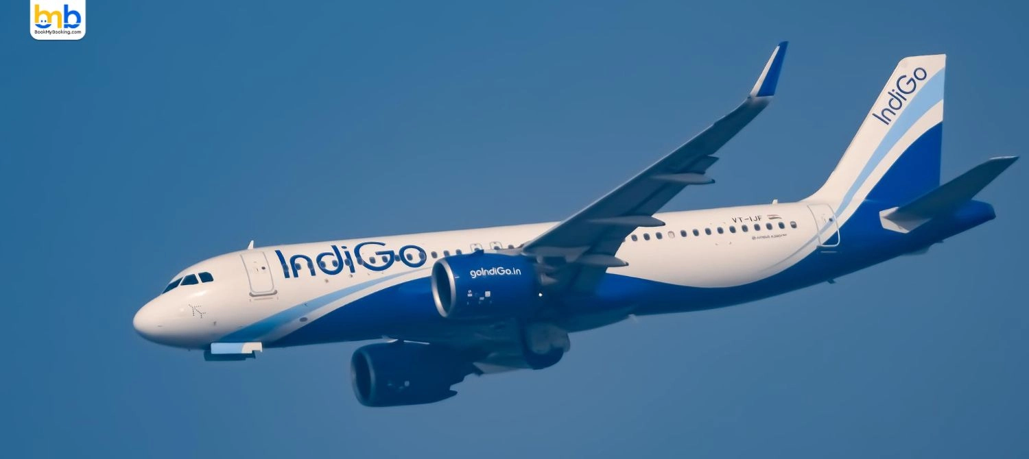 IndiGo Will Launch New Flights From Mumbai In July