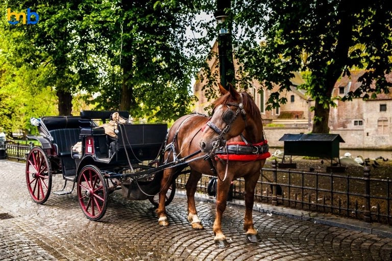 Spanish-tourist-hotspot-malaga-to-ban-horse-drawn-carriages