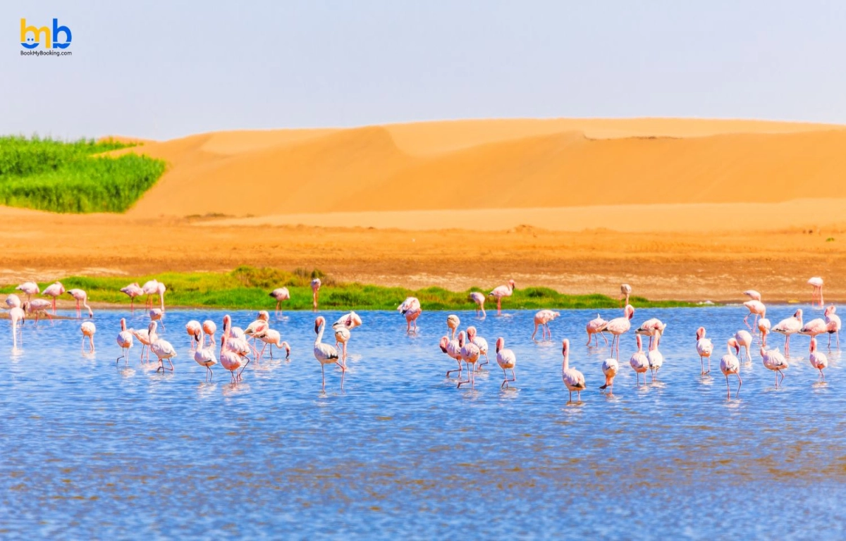 The Cultural Catalyst: Enriching Tourism Through Heritage Conservation 