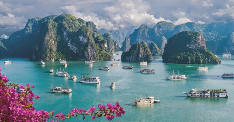 Turkiye, Vietnam's Top Pick Among Bengaleureans, Sri Lanka Is Catching On.