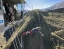 AJ_HACKETT_NEVIS_BUNGY_SWING_CATAPULT