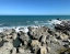 KAIKOURA_SEAL_COLONY