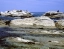 KAIKOURA_SEAL_COLONY