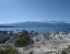 KAIKOURA_SEAL_COLONY