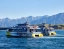 KAIKOURA_WHALE_WATCHING_BOAT_TOURS