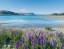 LAKE_TEKAPO