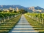 MARLBOROUGH_WINE_TASTING_TOUR