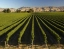 MARLBOROUGH_WINE_TASTING_TOUR