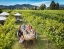 MARLBOROUGH_WINE_TASTING_TOUR