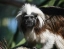 NATURELAND_ZOO