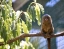 NATURELAND_ZOO
