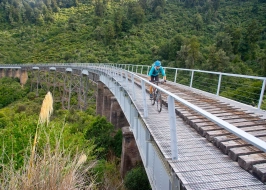 OHAKUNE OLD COACH ROAD
