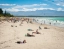 TAHUNANUI_BEACH