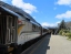 TRANZALPINE SCENIC TRAIN