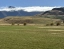 TRANZALPINE SCENIC TRAIN
