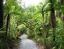 WESTLAND_NATIONAL_PARK