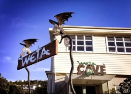 WETA CAVE