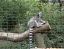 WILLOWBANK_WILDLIFE_RESERVE