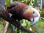 WILLOWBANK_WILDLIFE_RESERVE