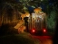 NIGHT_SAFARI