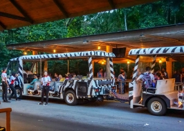 Tropical Temptation 4 Nights