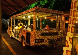 Singapore Delight 3 Nights