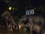 NIGHT_SAFARI