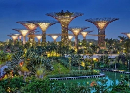 Jade City Jubilee 4 Nights