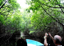 BENTOTA RIVER SAFARI