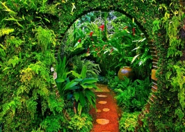 BRIEF GARDEN BY BEVIS BAWA