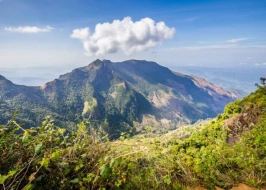 Tea And Tranquility Tour 5 Nights