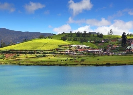 Cultural And Scenic Sri Lanka 6 Nights