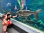 AQUARIA_PHUKET